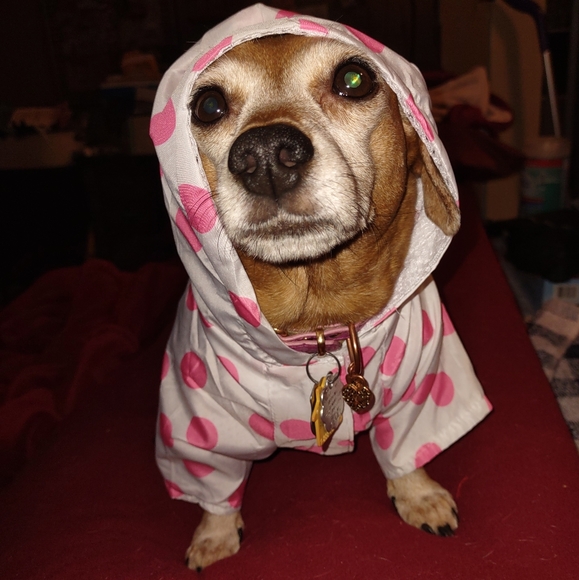 ⚡ MAKE OFFERS⚡ - Picture 2 of 7